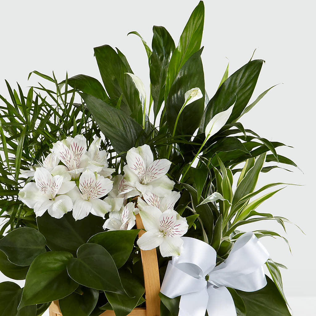 Peace & Serenity Dishgarden – Great Bend Floral, Great Bend KS