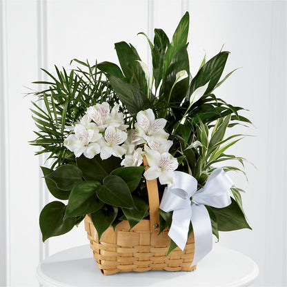 Peace & Serenity Dishgarden –  Great Bend Floral, Great Bend KS