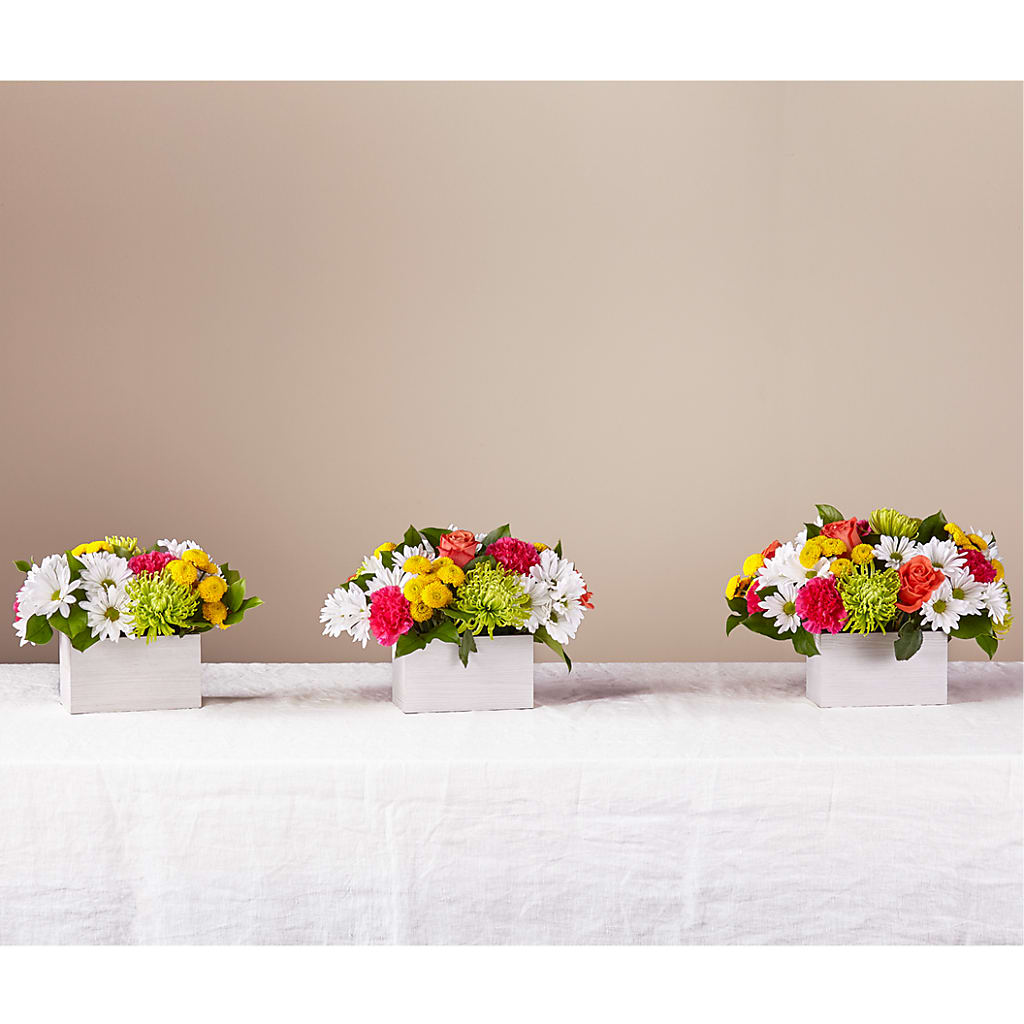 Sorbet Bouquet –  Great Bend Floral, Great Bend KS