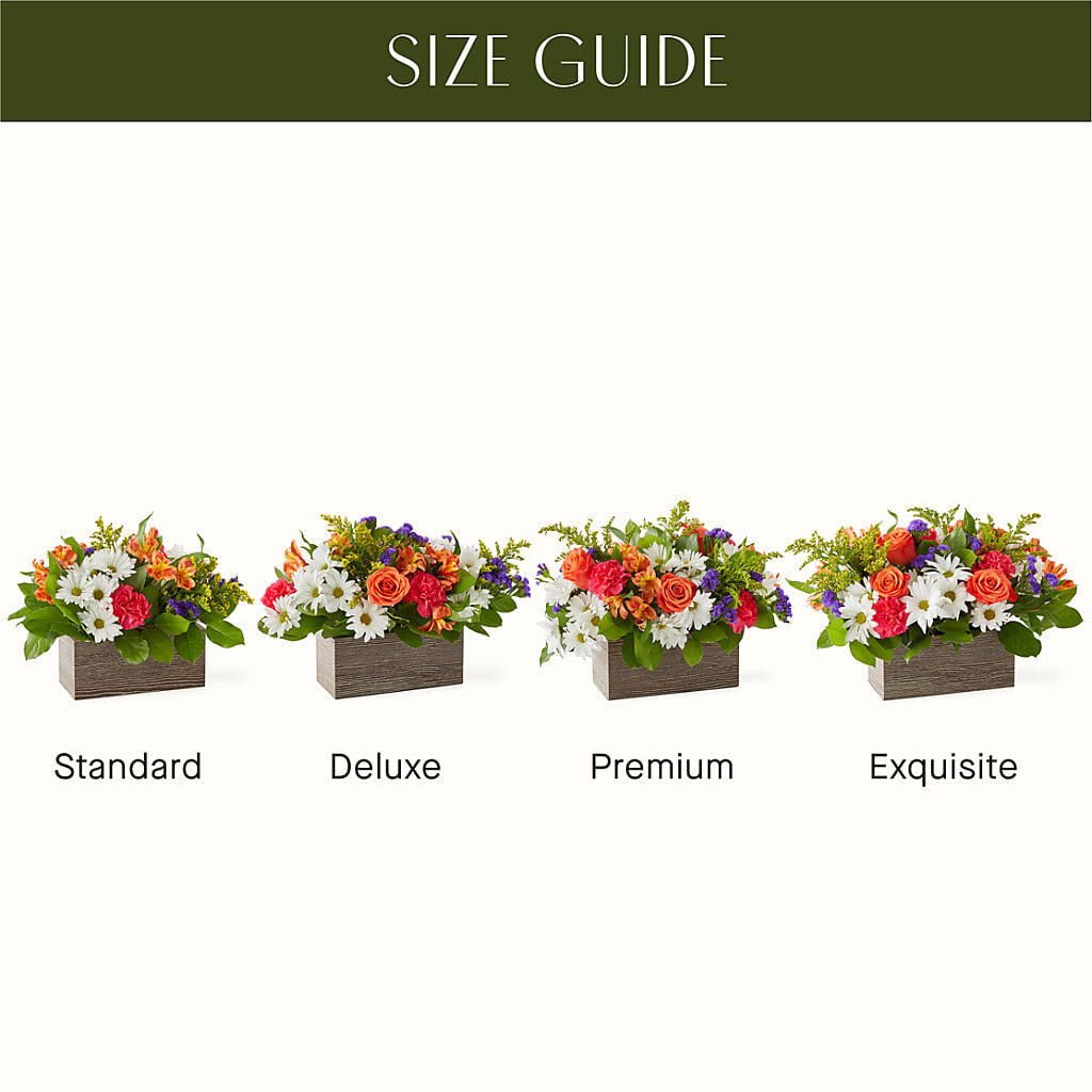 Oopsie Daisy Box Bouquet –  Great Bend Floral, Great Bend KS