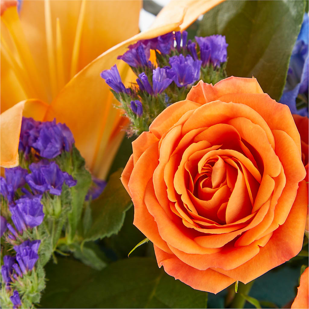 Radiant Citrus Box Bouquet –  Great Bend Floral, Great Bend KS
