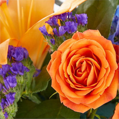 Radiant Citrus Box Bouquet –  Great Bend Floral, Great Bend KS