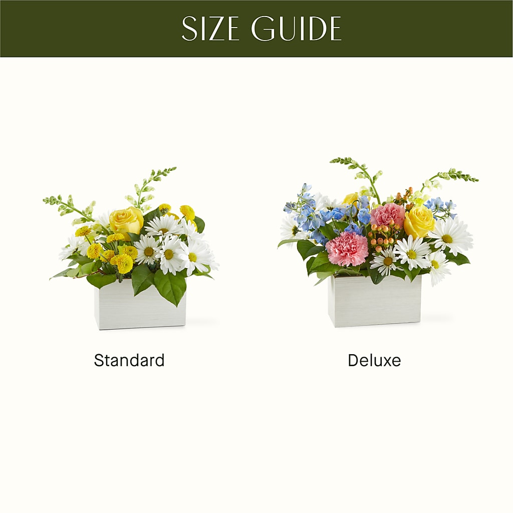 Sun Salutation Box Bouquet –  Great Bend Floral, Great Bend KS