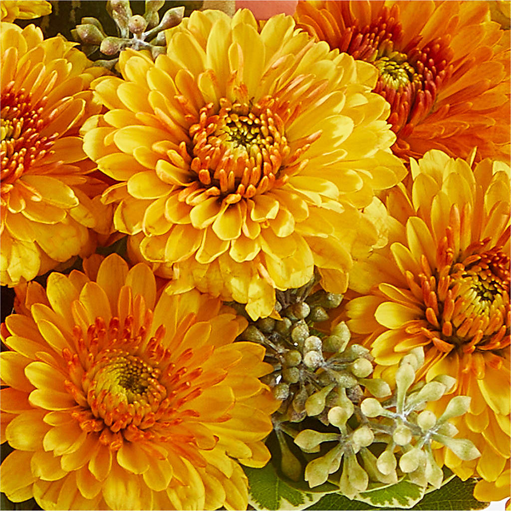 Peachy Pumpkin –  Great Bend Floral, Great Bend KS