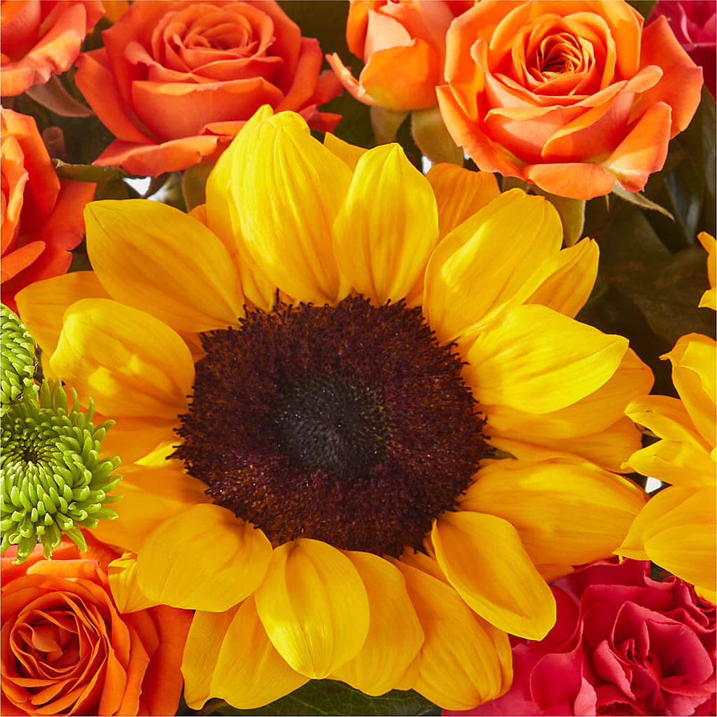 Sun-drenched Blooms Box Bouquet –  Great Bend Floral, Great Bend KS