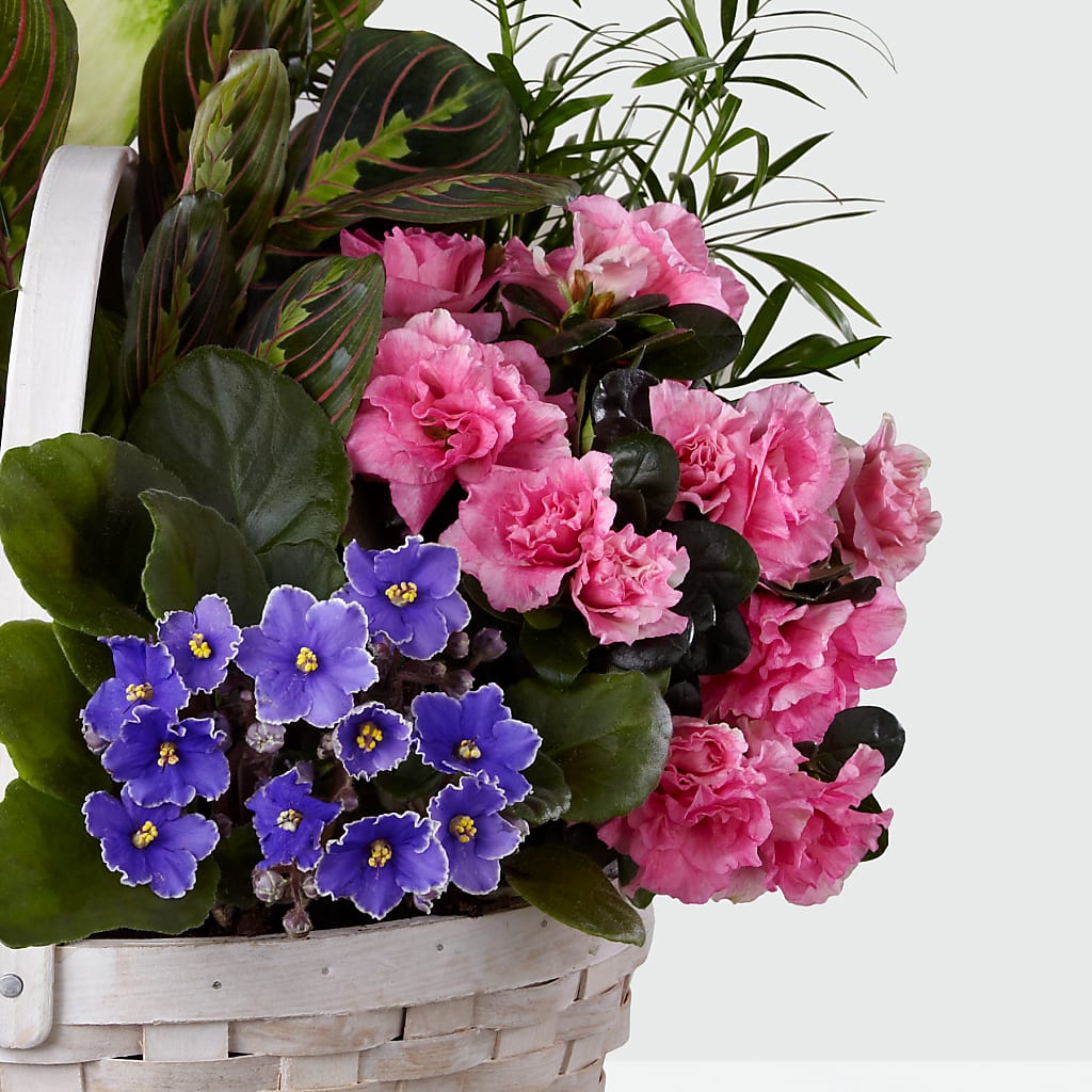 Peaceful Garden Planter –  Great Bend Floral, Great Bend KS
