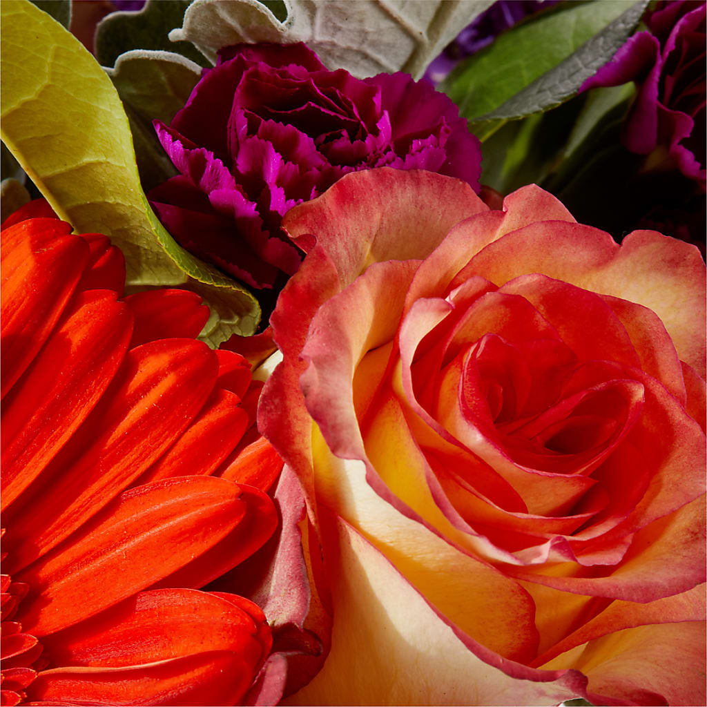 Sangria Bouquet –  Great Bend Floral, Great Bend KS