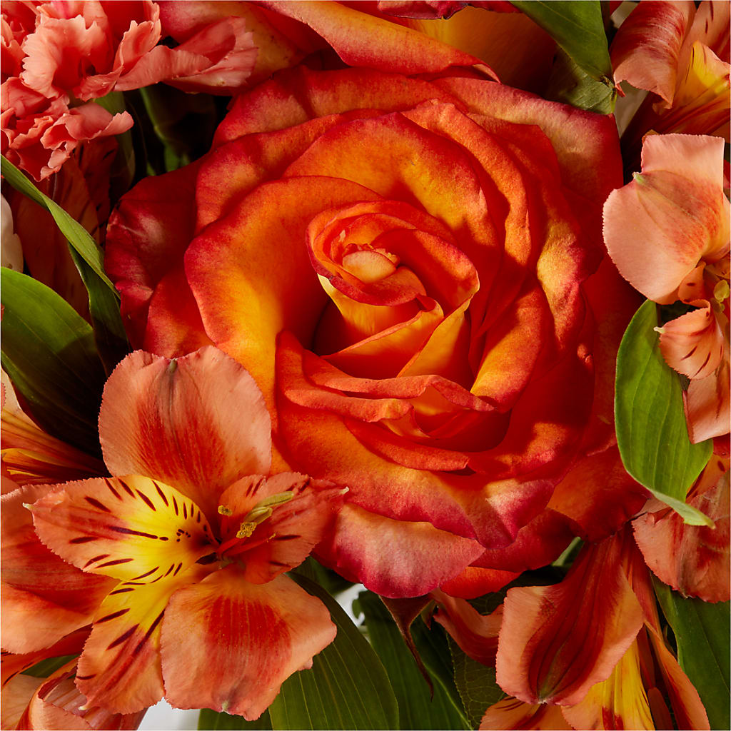 Apricot Glow Bouquet –  Great Bend Floral, Great Bend KS