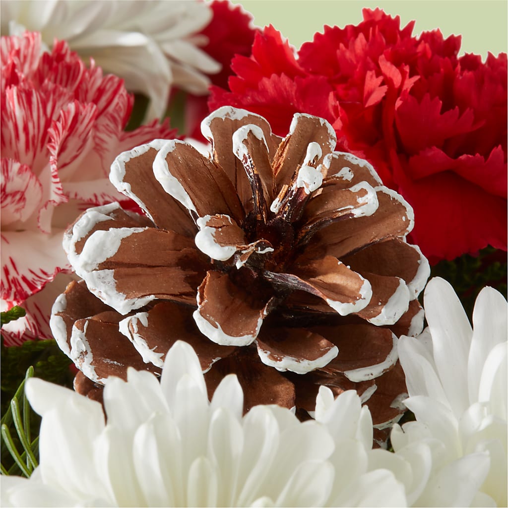 Candy Cane Lane Bouquet –  Great Bend Floral, Great Bend KS