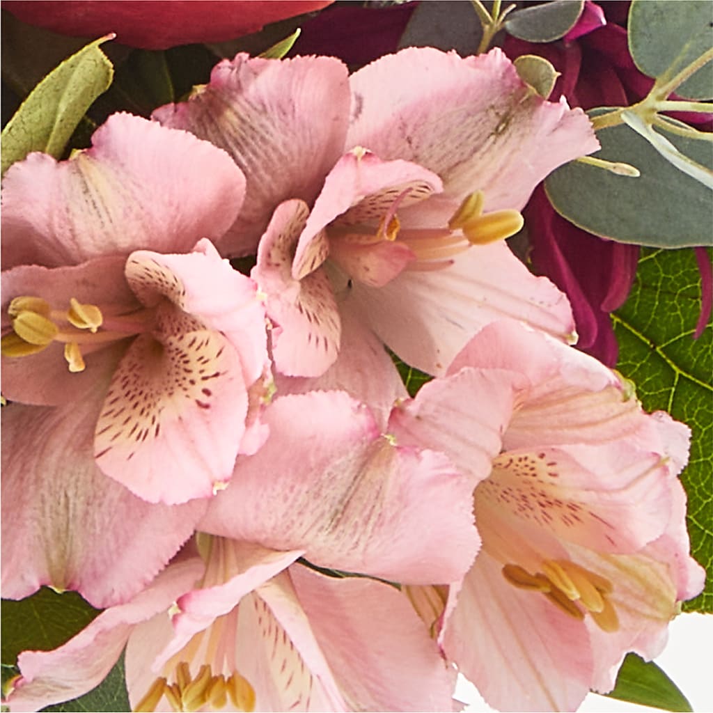 Berry Cobbler Bouquet –  Great Bend Floral, Great Bend KS