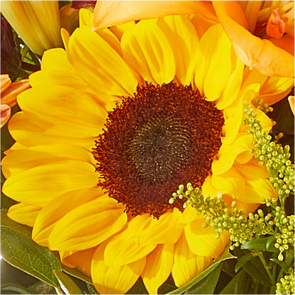 Seasons Change Bouquet –  Great Bend Floral, Great Bend KS