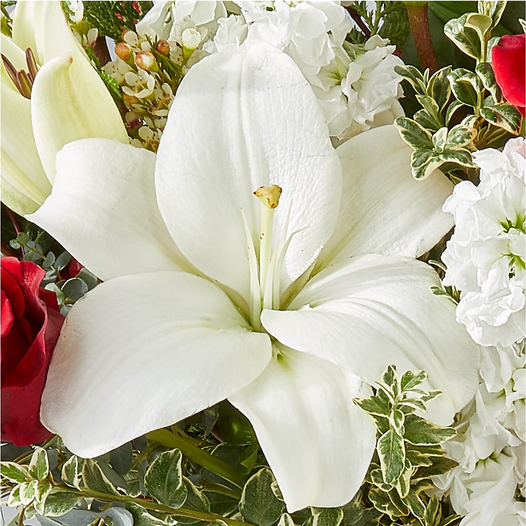 Twinkle Lights Bouquet –  Great Bend Floral, Great Bend KS