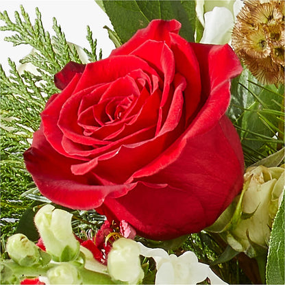 Deck the Halls Bouquet –  Great Bend Floral, Great Bend KS