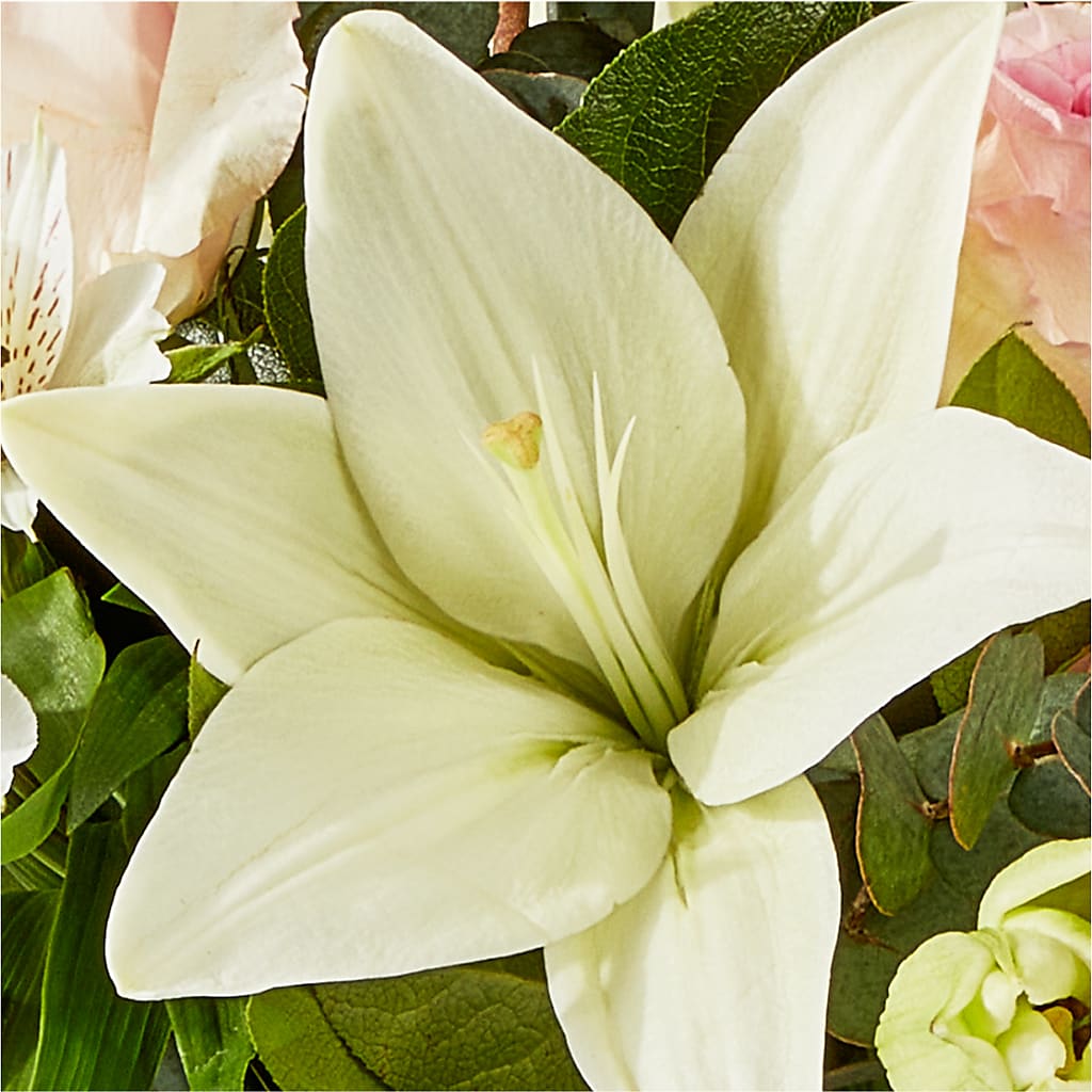 Ballet Slippers Bouquet –  Great Bend Floral, Great Bend KS